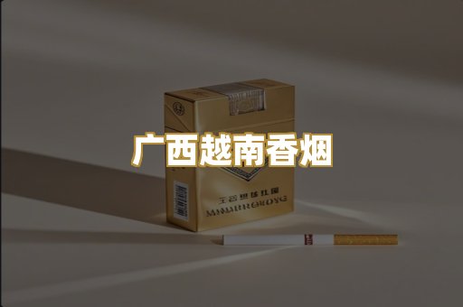 广西越南香烟